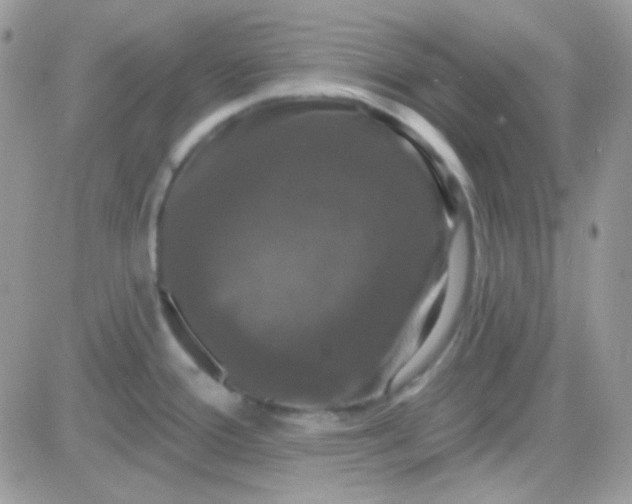 X0000081361388200701251938