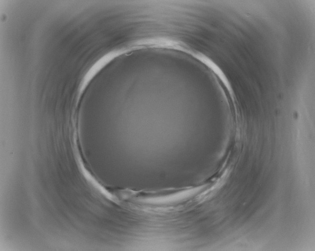 X0000081361389200701251938