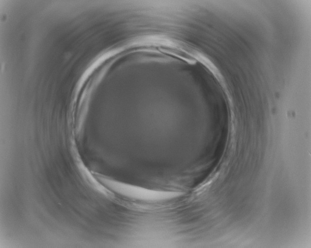 X0000081361392200701251938