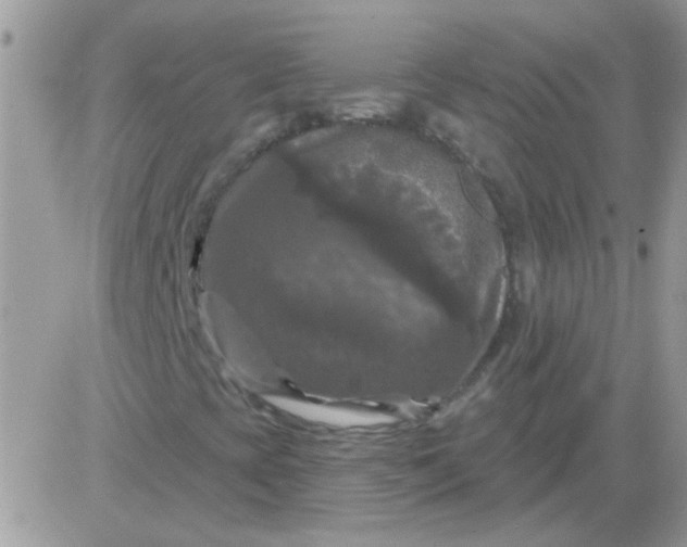 X0000081361393200701251937