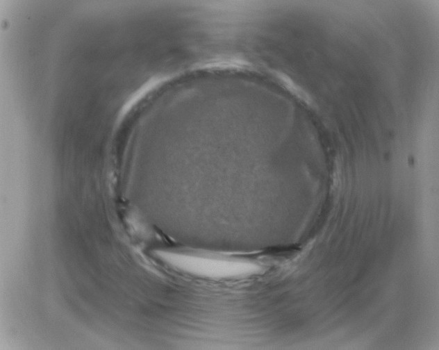 X0000081361400200701251937