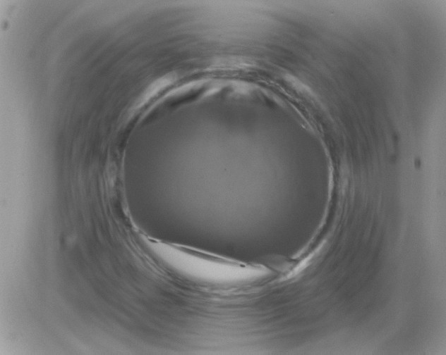 X0000081361401200701251937