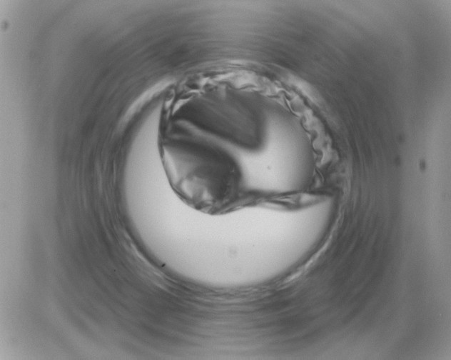 X0000081361402200701251937