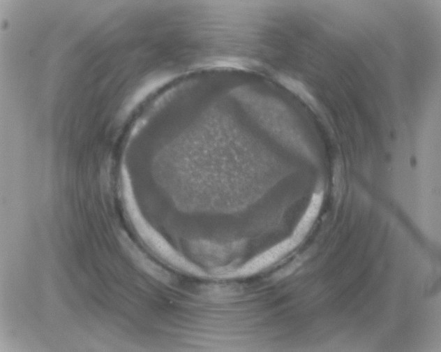 X0000081361404200701251937