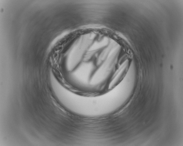 X0000081361406200701251937