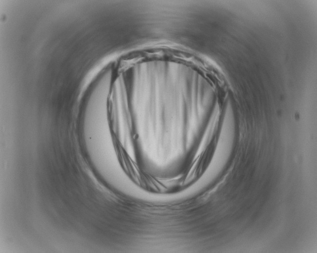 X0000081361414200701251937