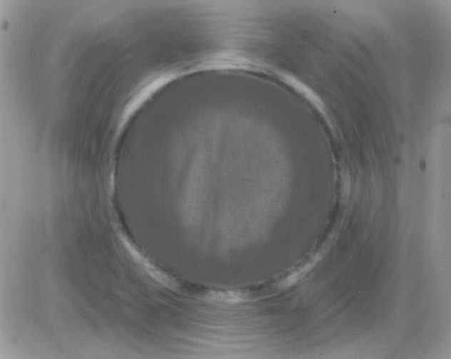 X0000081361415200701251937