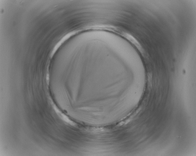 X0000081361428200701251938