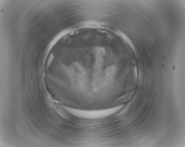X0000081361435200701251938