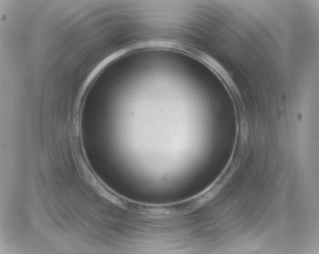 X0000081361436200701251938