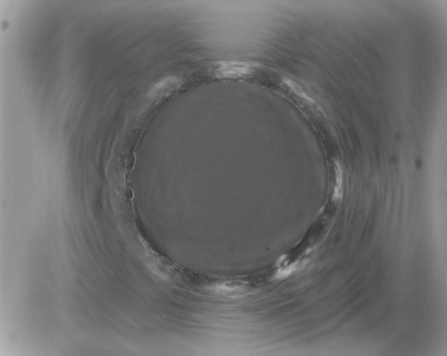 X0000081361441200701251937