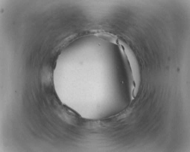 X0000081361444200701251937