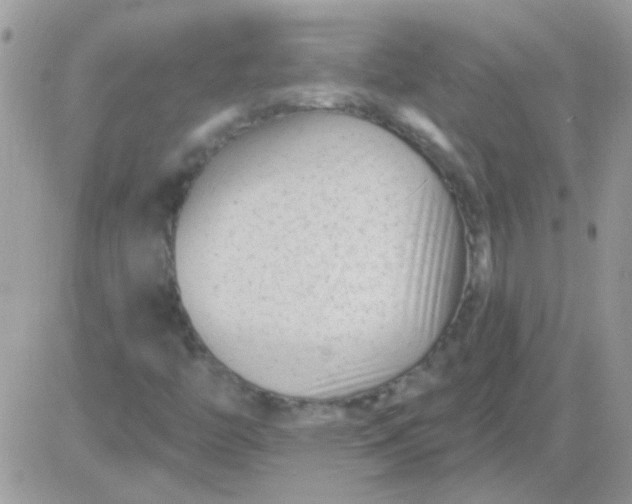 X0000081361446200701251937