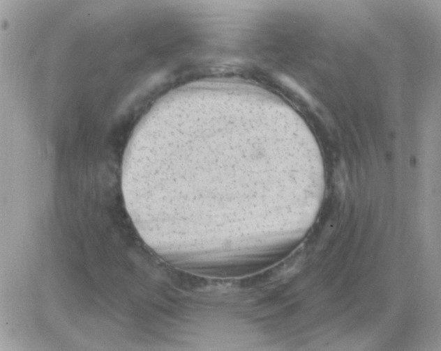 X0000081361447200701251937
