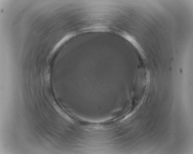 X0000081361450200701251937