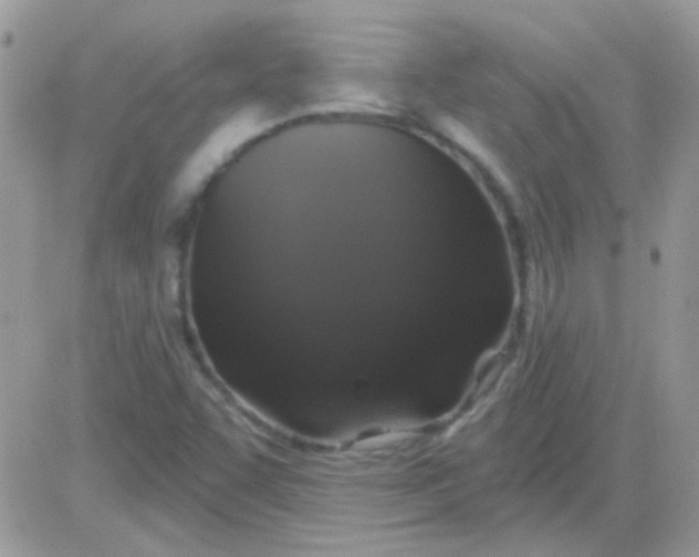 X0000081361455200701251937