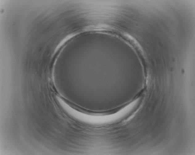 X0000081361457200701251937