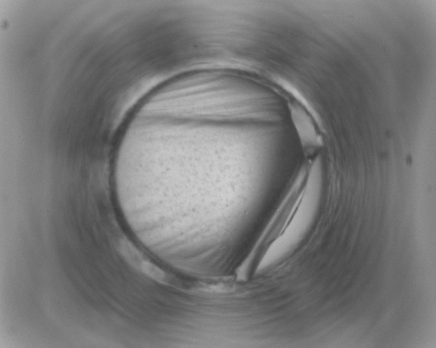 X0000081361460200701251937