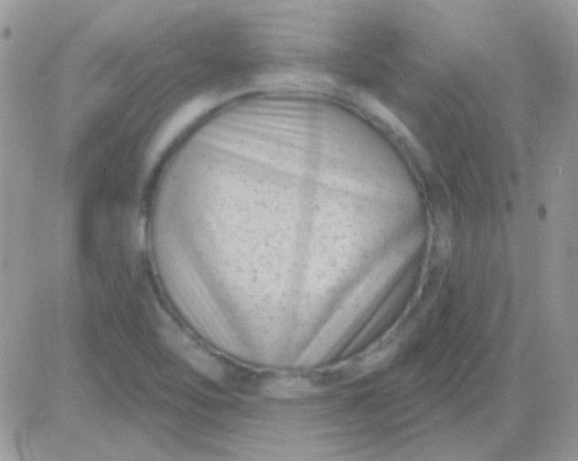 X0000081361462200701251937
