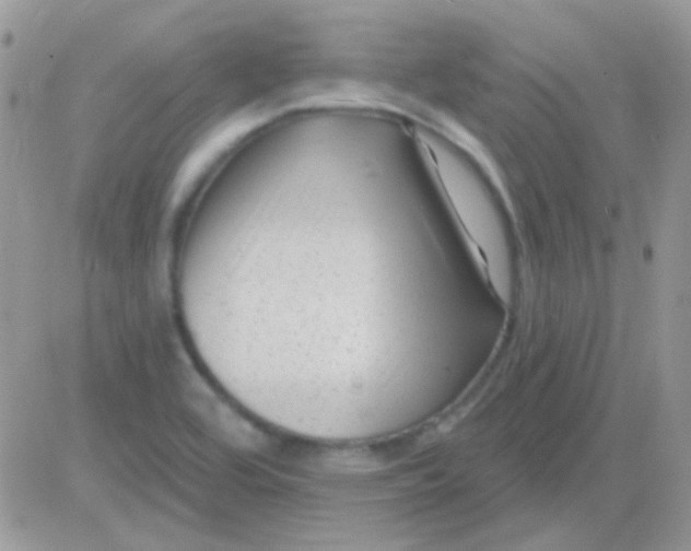 X0000081361464200701251937