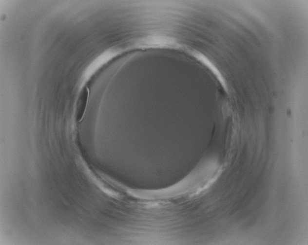 X0000081361469200701251937