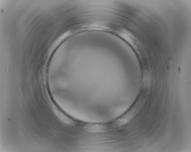 X0000081361474200701251937