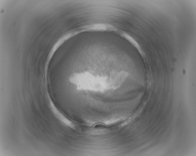 X0000081361475200701251937