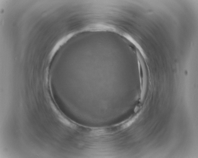 X0000081361477200701251937