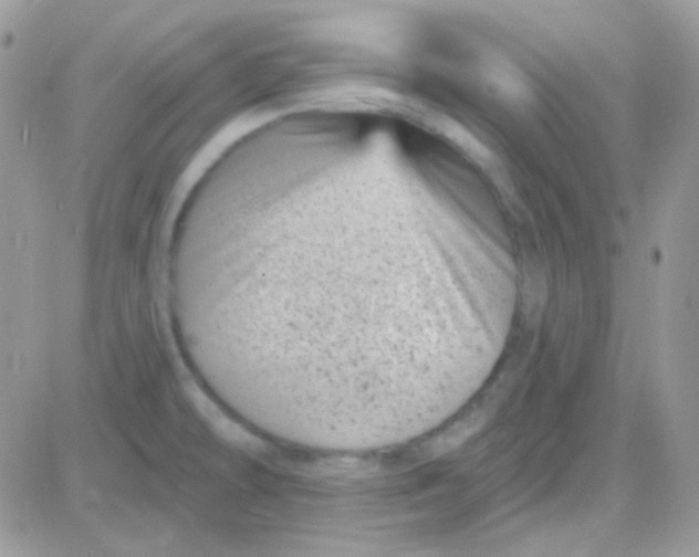 X0000081361478200701251937