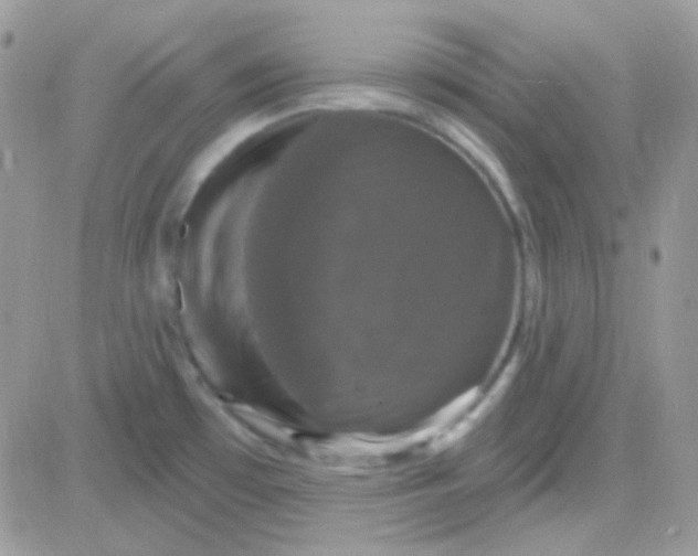 X0000081361481200701251936