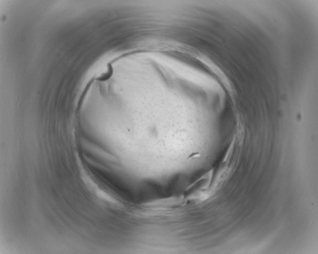 X0000081361486200701251936