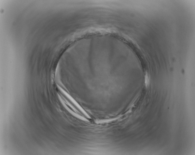 X0000081361492200701251936