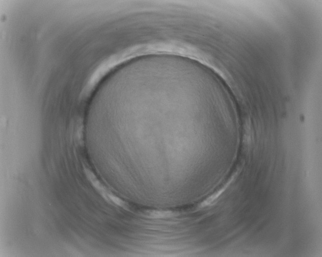 X0000081361499200701251936