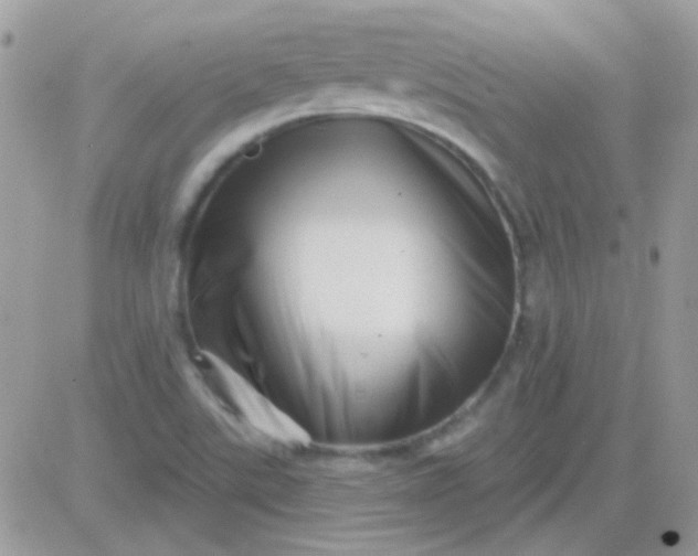 X0000081361507200701251936