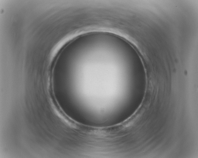 X0000081361511200701251936