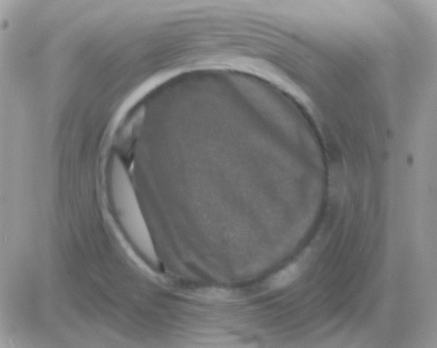 X0000081361517200701251936