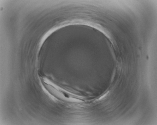 X0000081361527200701251936
