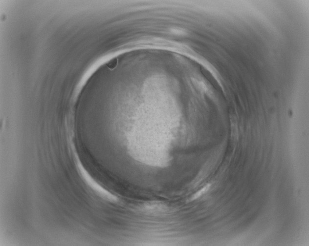 X0000081361531200701251936