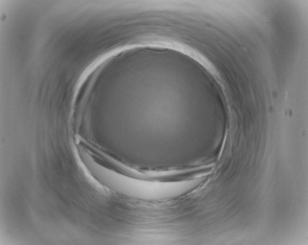 X0000081361536200701251936