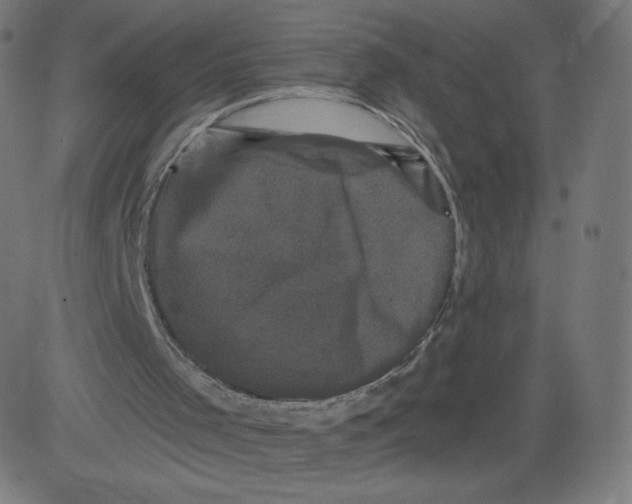 X0000081360001200702020152