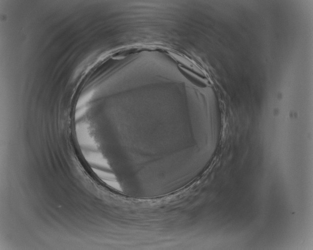 X0000081360002200702020152