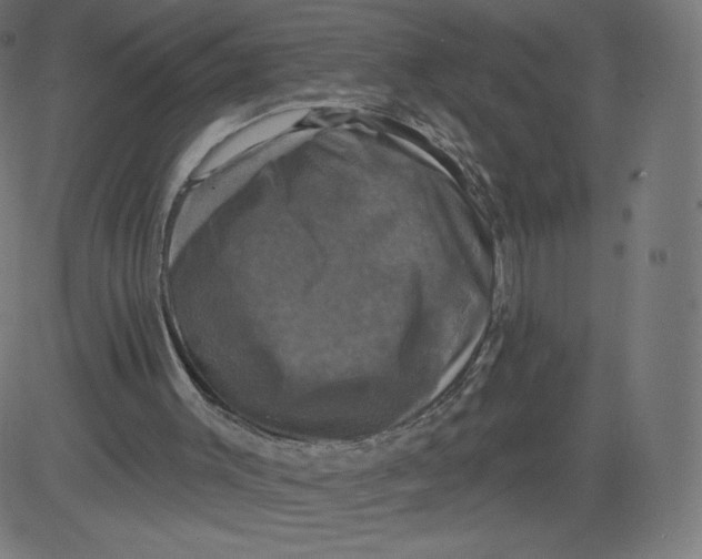 X0000081360003200702020152