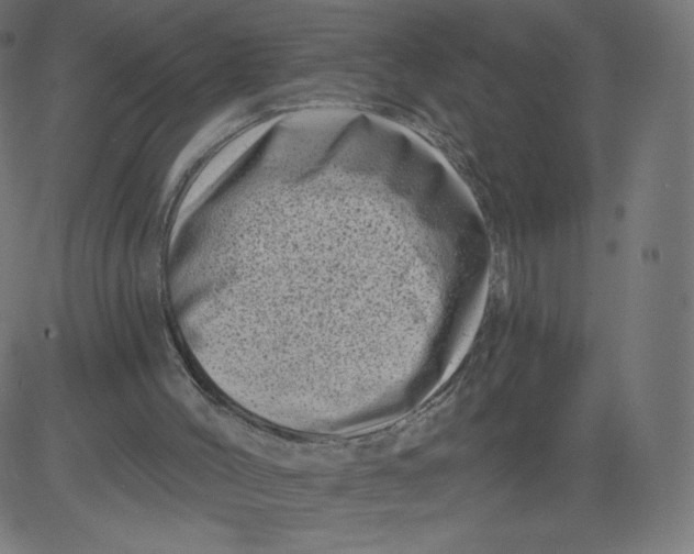 X0000081360004200702020152