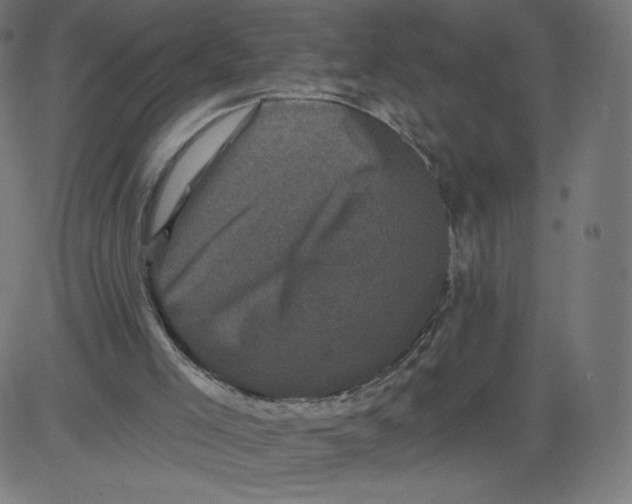 X0000081360005200702020152