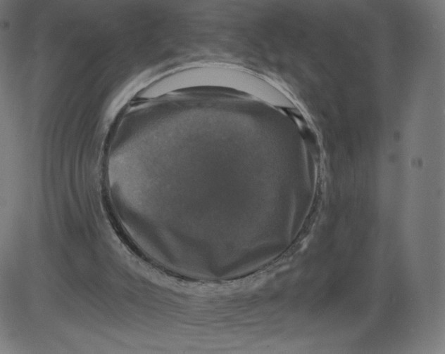 X0000081360007200702020152