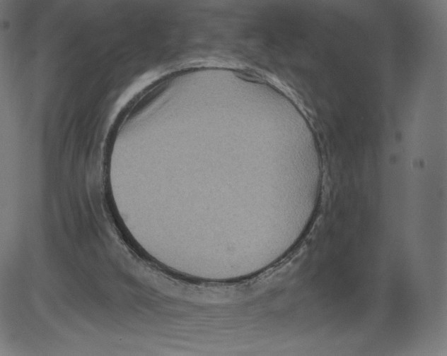 X0000081360008200702020152