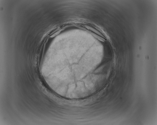 X0000081360010200702020151