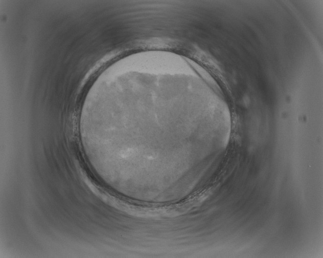 X0000081360012200702020151