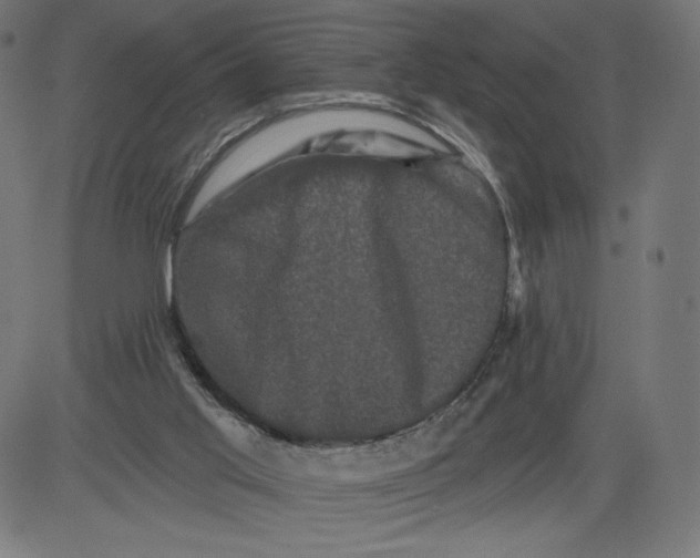 X0000081360013200702020151