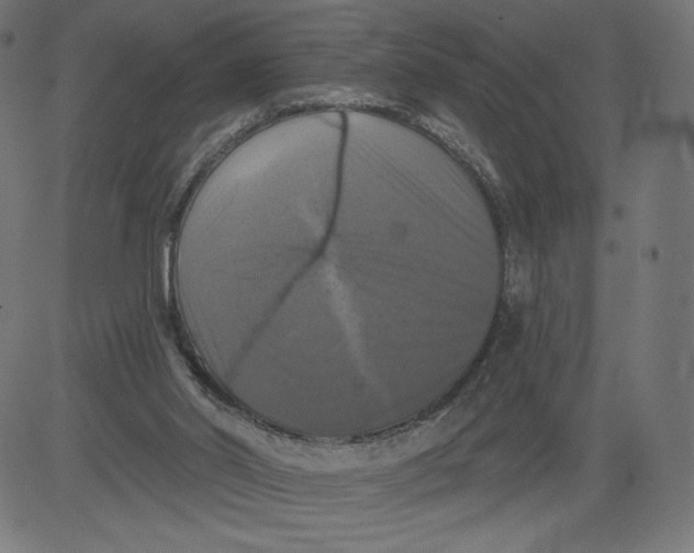 X0000081360014200702020151